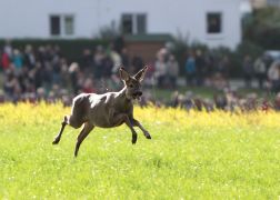 210 Jahre Schlacht Von Jena Und Auerstedt 061